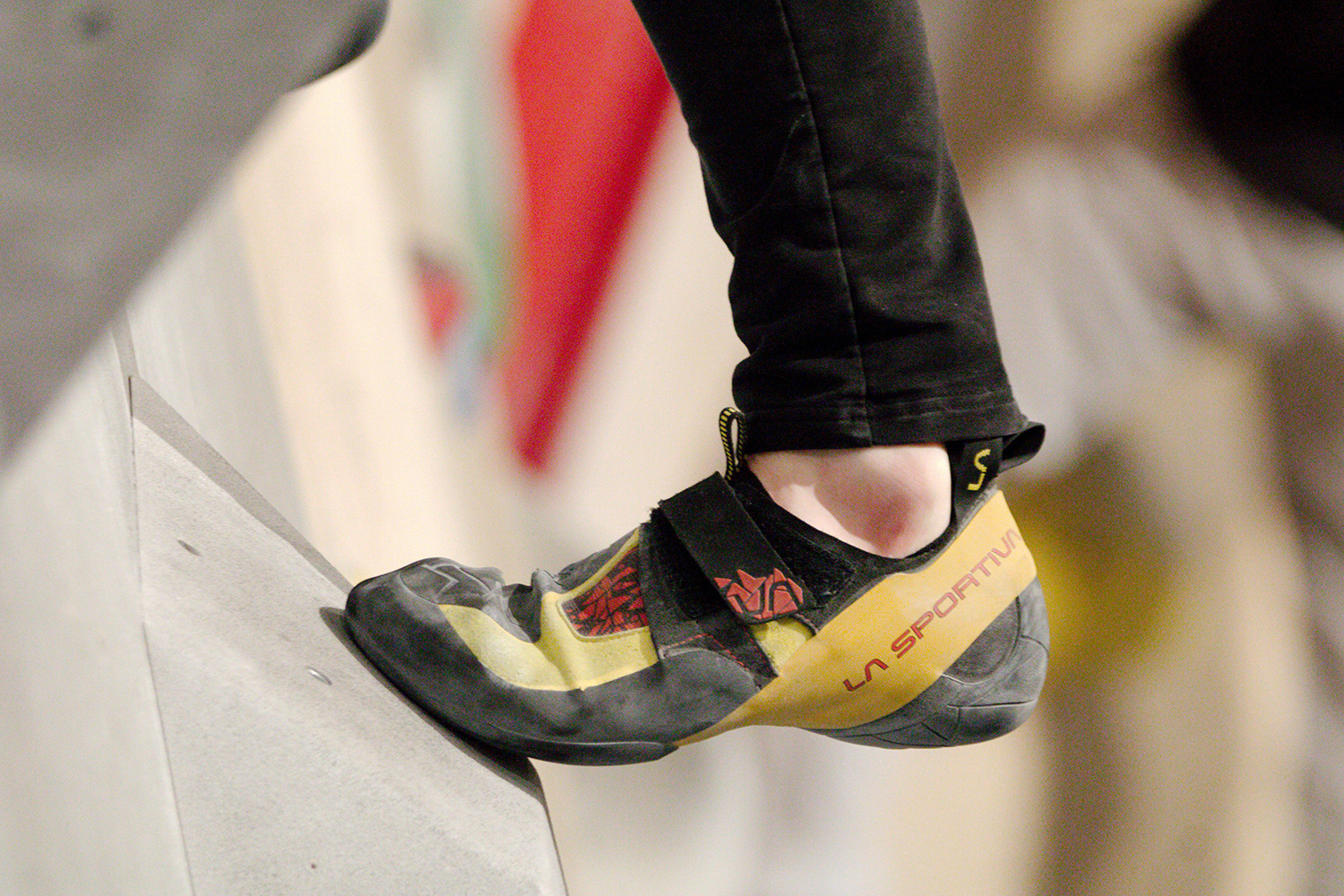 Beginner Climbing Shoe
