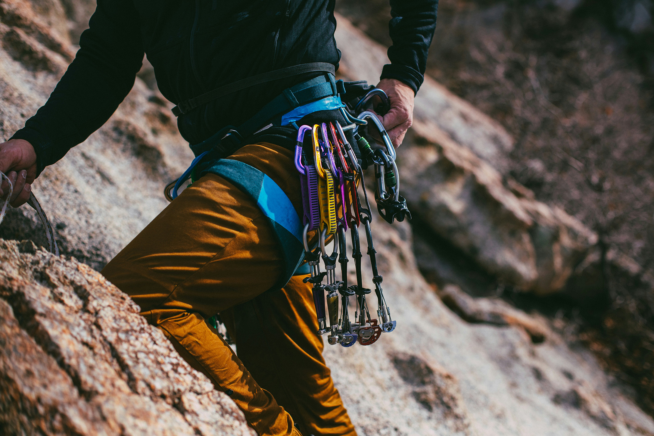 Climbing Harness